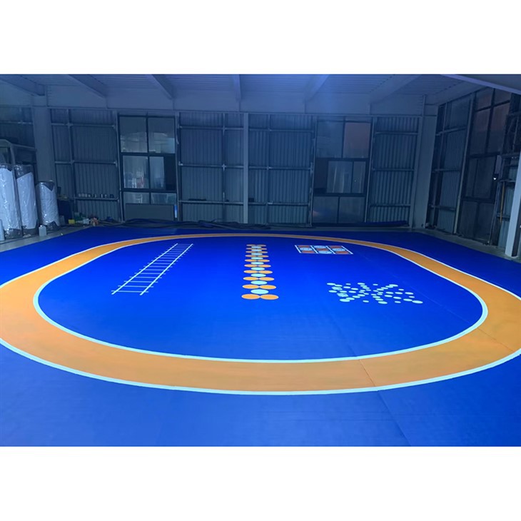 Pre-fabricated Indoor Sports-specific Surface Layer suppliers